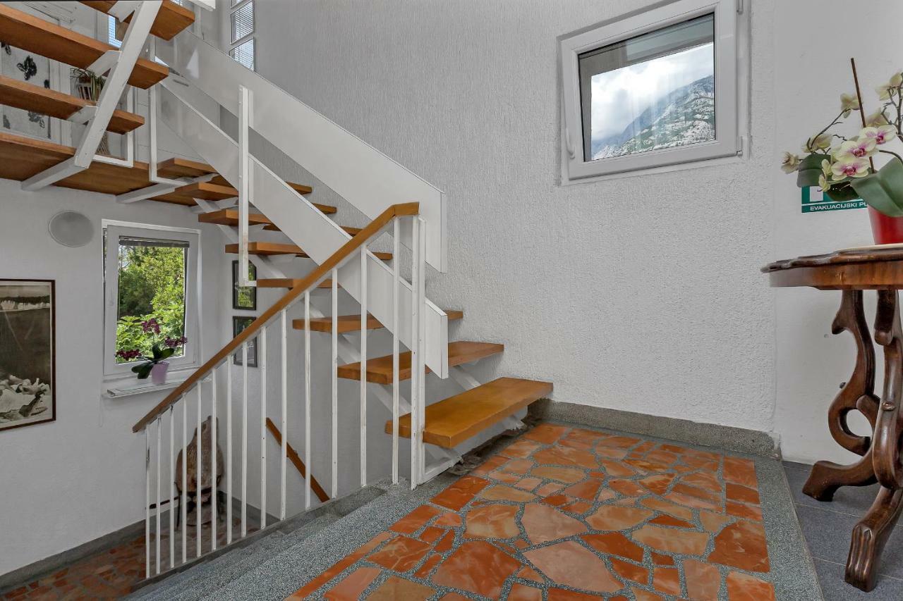 Apartment Mediteraneo マカルスカ エクステリア 写真